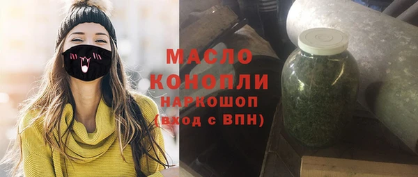 МДПВ Каменногорск