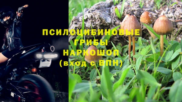 спайс Касимов