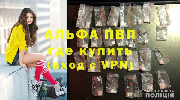 МДПВ Каменногорск