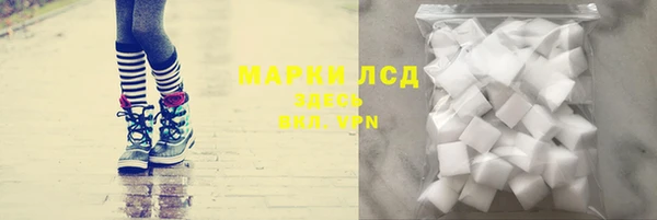 спайс Касимов